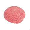 Brain Splat Squishy