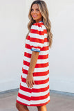 Americana Puff Sleeve Mini Dress