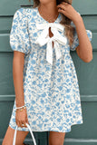 Sky Blue Floral Contrast Bow Puff Sleeve Mini Dress